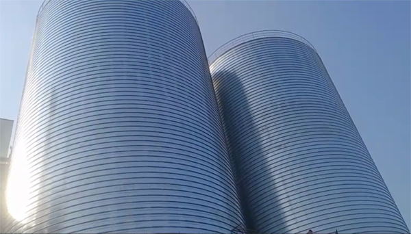 湘潭2座混凝土高架卷板仓